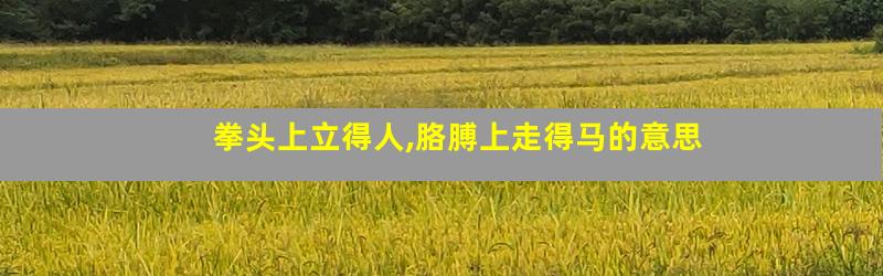拳头上立得人,胳膊上走得马的意思