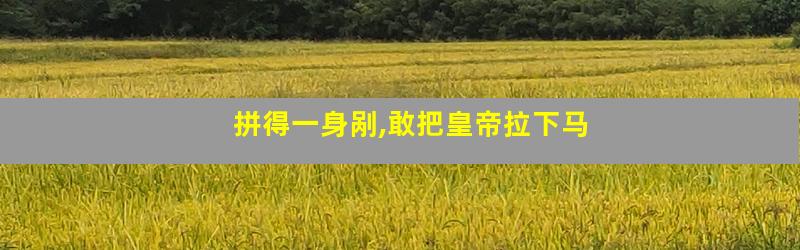 拼得一身剐,敢把皇帝拉下马