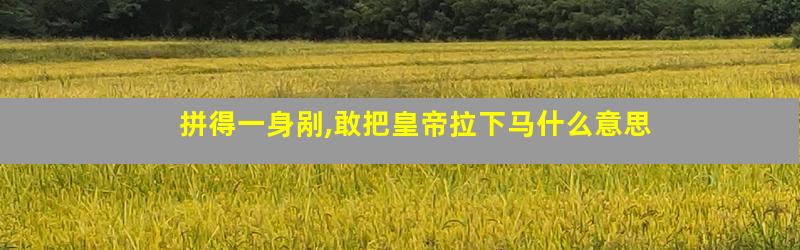 拼得一身剐,敢把皇帝拉下马什么意思