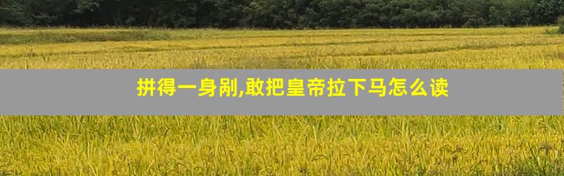 拼得一身剐,敢把皇帝拉下马怎么读