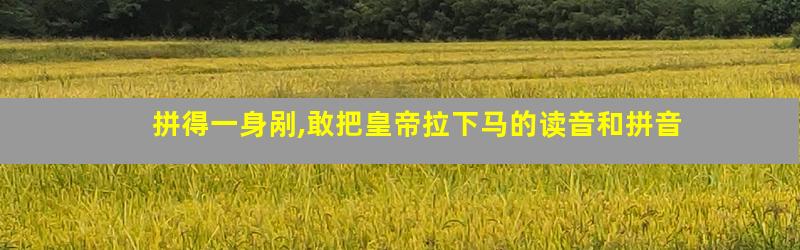 拼得一身剐,敢把皇帝拉下马的读音和拼音