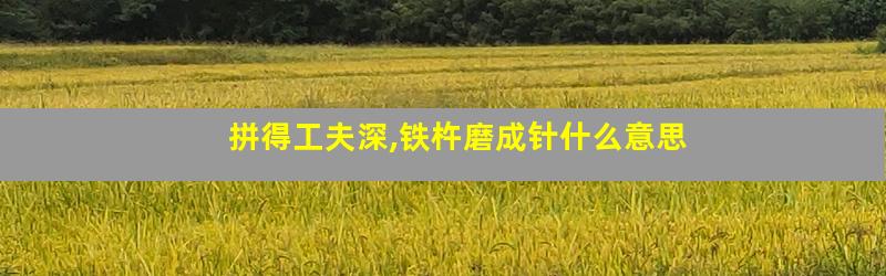 拼得工夫深,铁杵磨成针什么意思