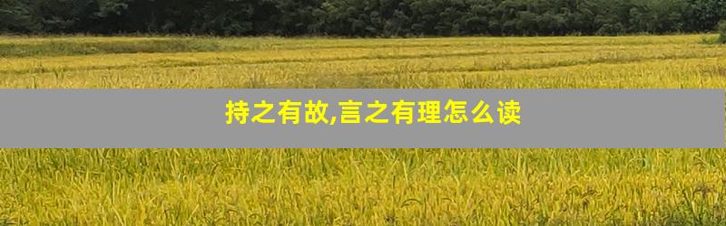 持之有故,言之有理怎么读