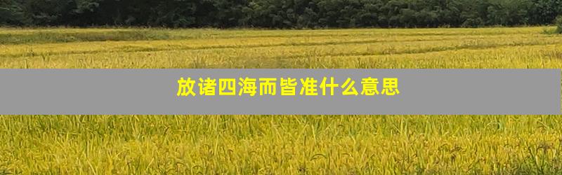 放诸四海而皆准什么意思