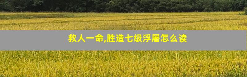 救人一命,胜造七级浮屠怎么读