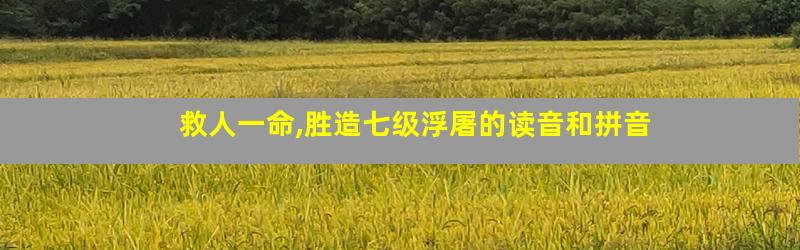 救人一命,胜造七级浮屠的读音和拼音
