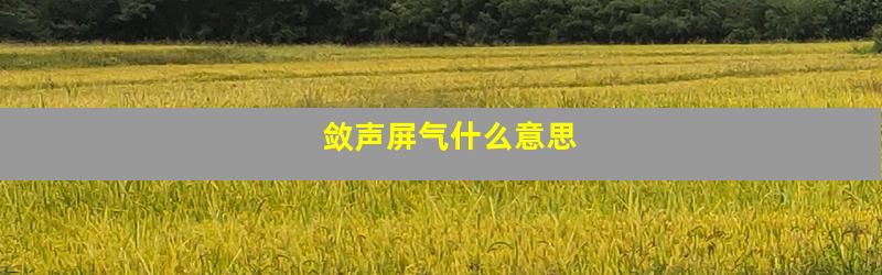 敛声屏气什么意思
