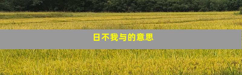 日不我与的意思