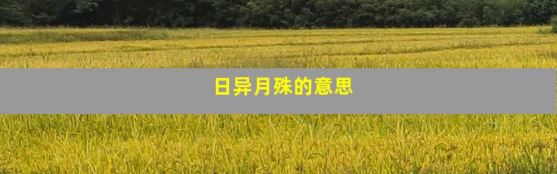 日异月殊的意思