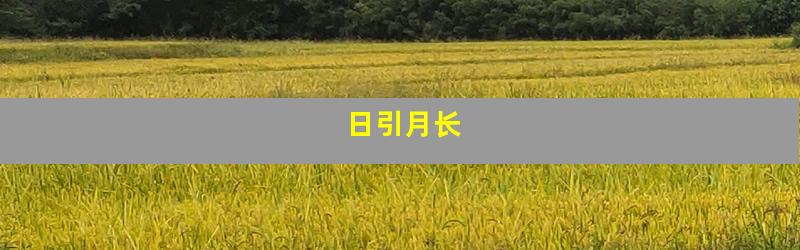 日引月长