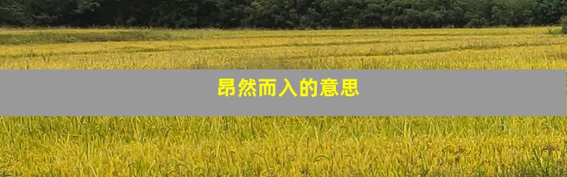 昂然而入的意思