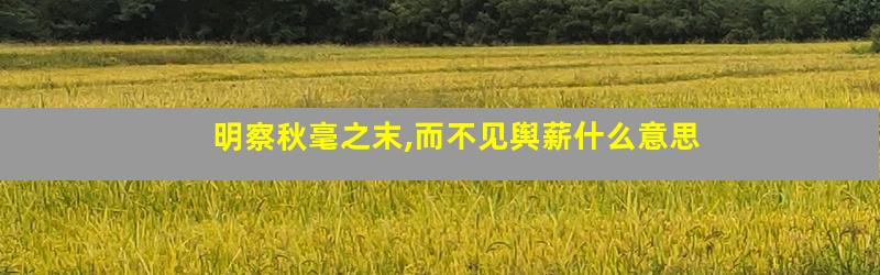 明察秋毫之末,而不见舆薪什么意思