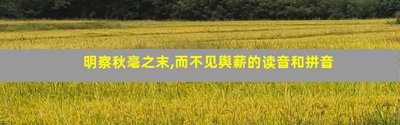 明察秋毫之末,而不见舆薪的读音和拼音