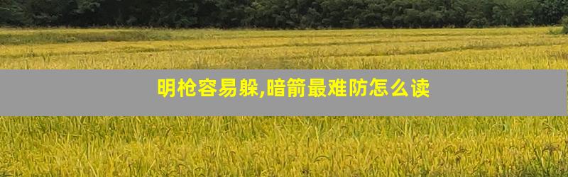 明枪容易躲,暗箭最难防怎么读