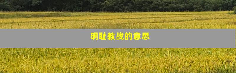 明耻教战的意思