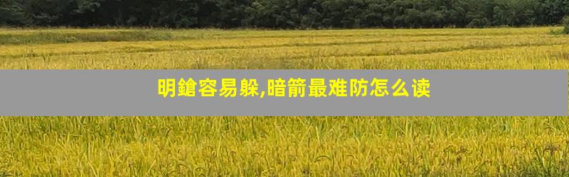明鎗容易躲,暗箭最难防怎么读