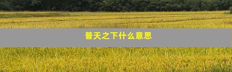普天之下什么意思