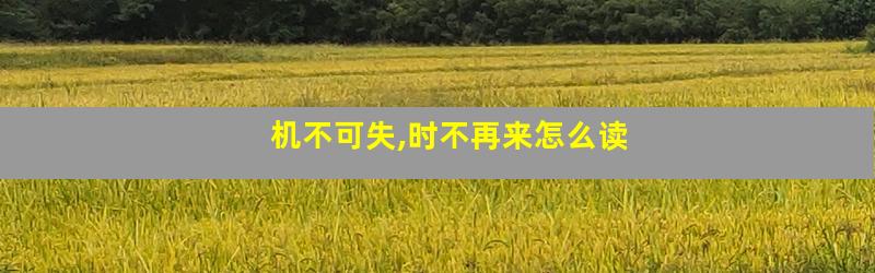 机不可失,时不再来怎么读