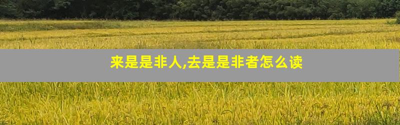 来是是非人,去是是非者怎么读