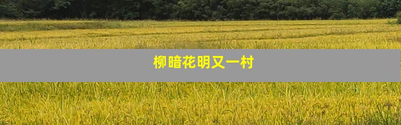 柳暗花明又一村