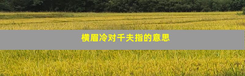 横眉冷对千夫指的意思