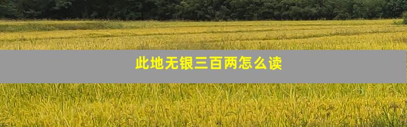 此地无银三百两怎么读