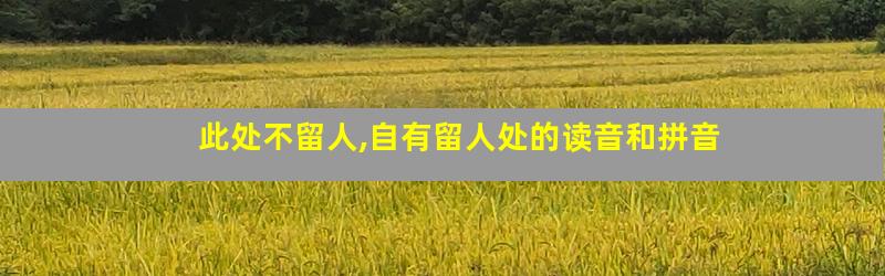 此处不留人,自有留人处的读音和拼音