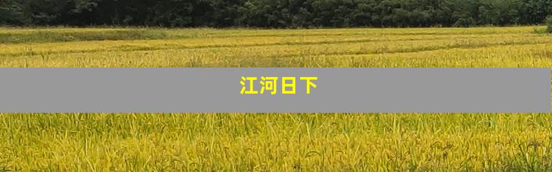 江河日下