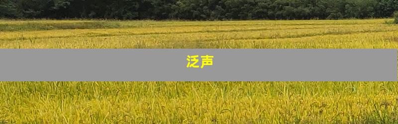 泛声