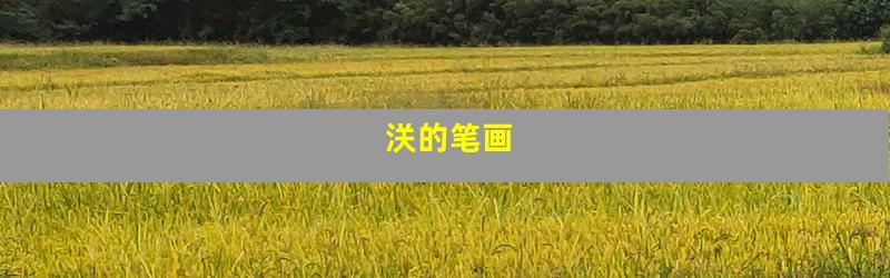 浂的笔画