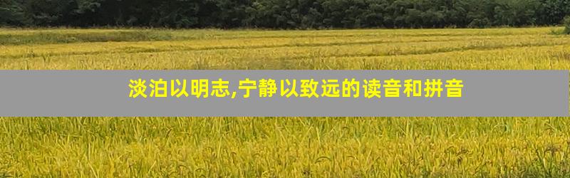 淡泊以明志,宁静以致远的读音和拼音