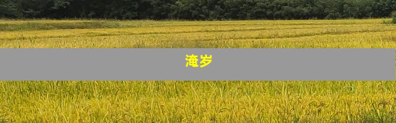 淹岁