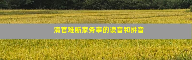 清官难断家务事的读音和拼音