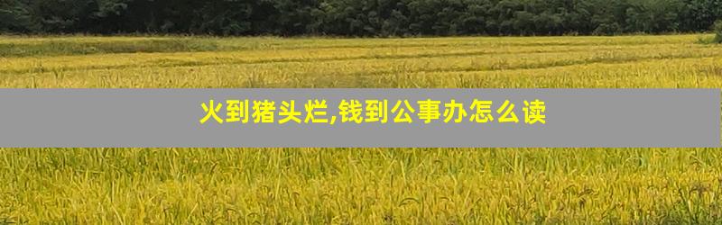 火到猪头烂,钱到公事办怎么读