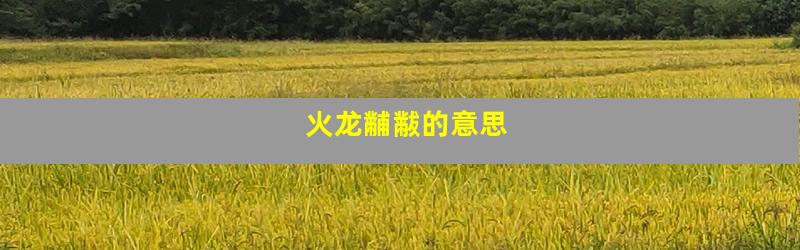 火龙黼黻的意思