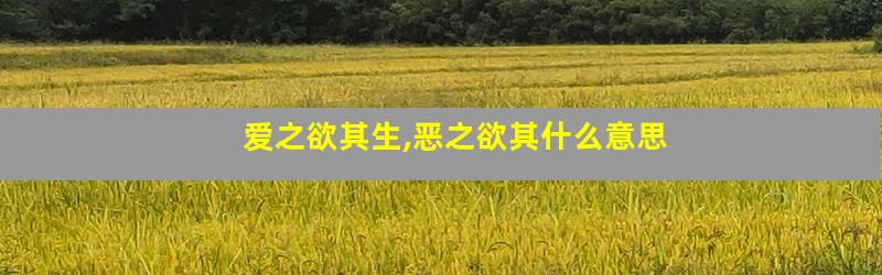 爱之欲其生,恶之欲其什么意思