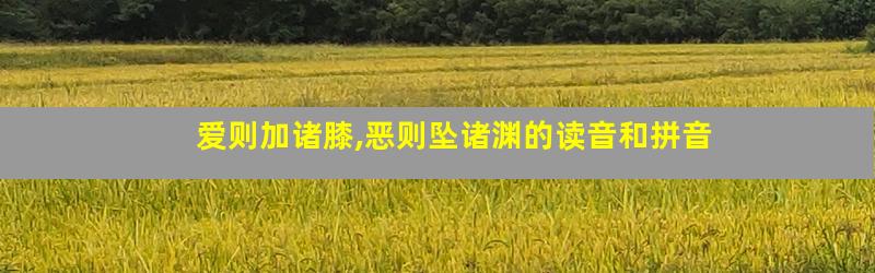 爱则加诸膝,恶则坠诸渊的读音和拼音