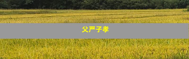 父严子孝