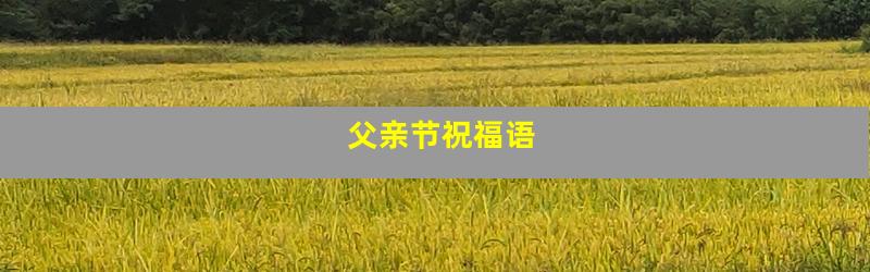 父亲节祝福语