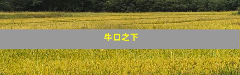 牛口之下