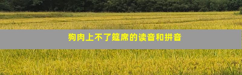 狗肉上不了筵席的读音和拼音