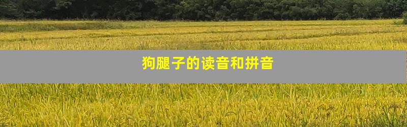 狗腿子的读音和拼音