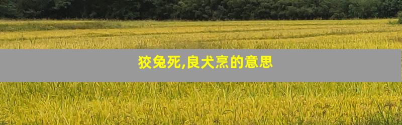 狡兔死,良犬烹的意思