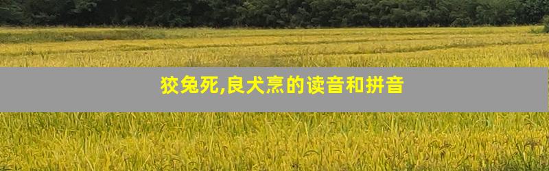 狡兔死,良犬烹的读音和拼音