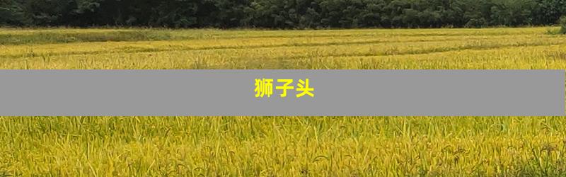 狮子头