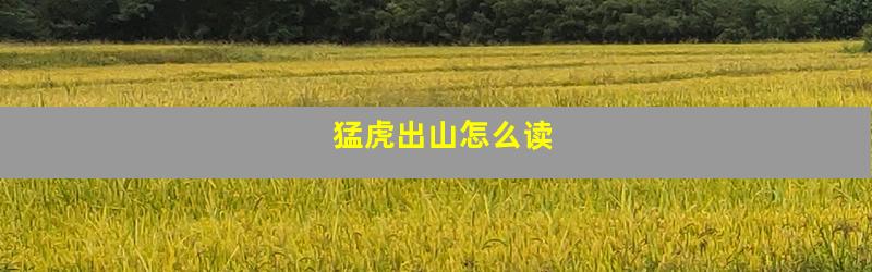 猛虎出山怎么读