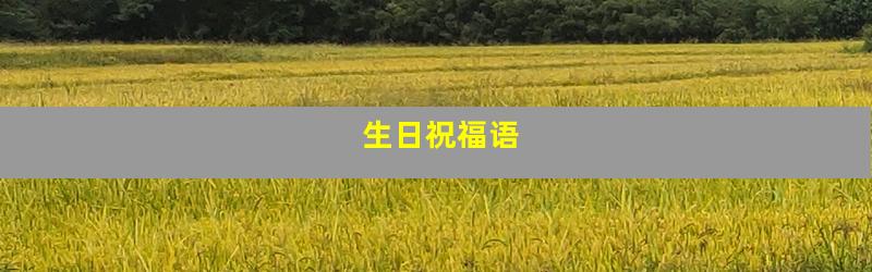 生日祝福语