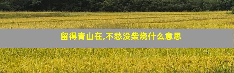 留得青山在,不愁没柴烧什么意思