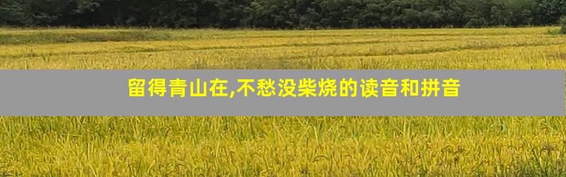 留得青山在,不愁没柴烧的读音和拼音