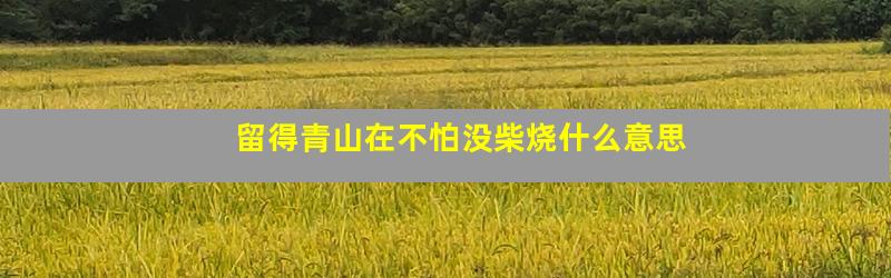 留得青山在不怕没柴烧什么意思